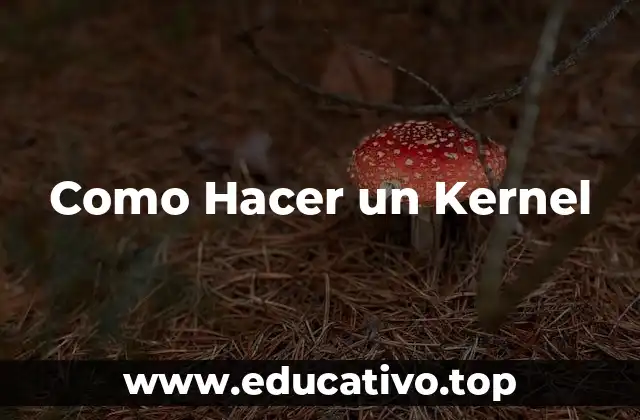 Como Hacer un Kernel