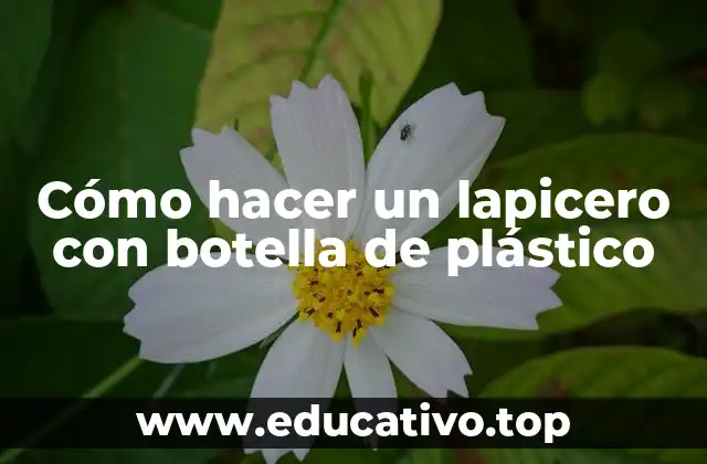 Cómo hacer un lapicero con botella de plástico