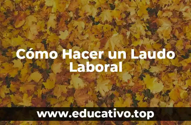 Cómo Hacer un Laudo Laboral