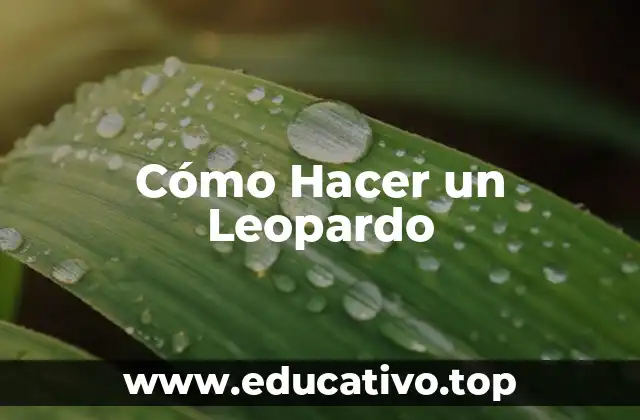 Cómo Hacer un Leopardo