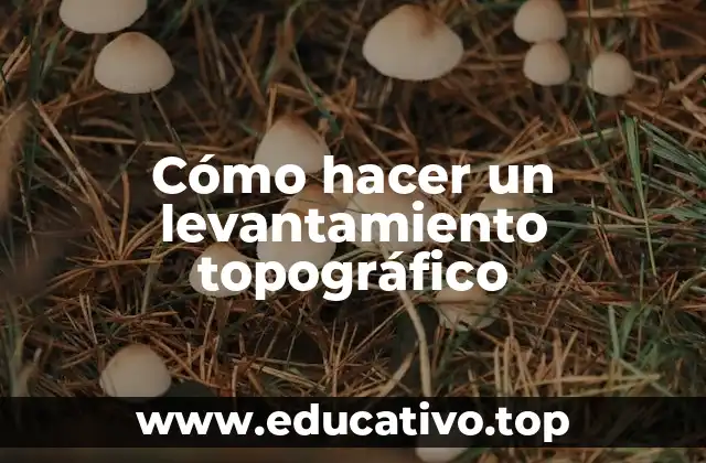 Cómo hacer un levantamiento topográfico