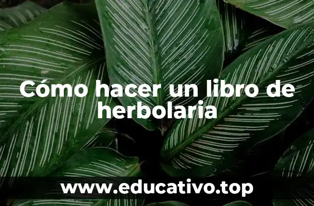Cómo hacer un libro de herbolaria