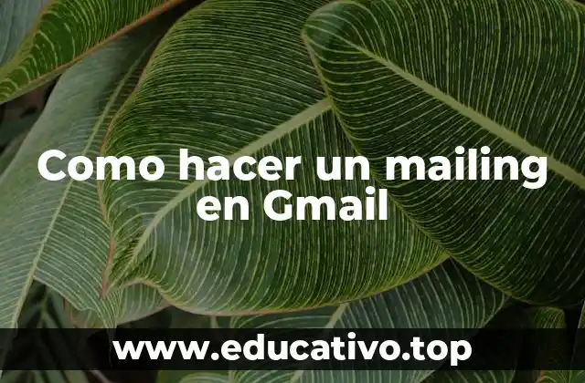 Como hacer un mailing en Gmail