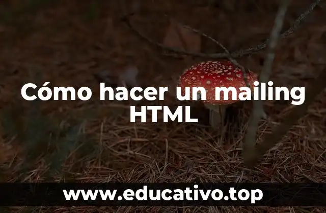 Cómo hacer un mailing HTML