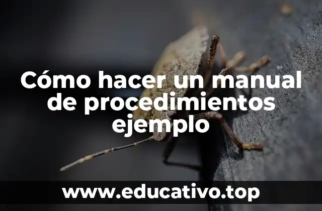 Cómo hacer un manual de procedimientos ejemplo