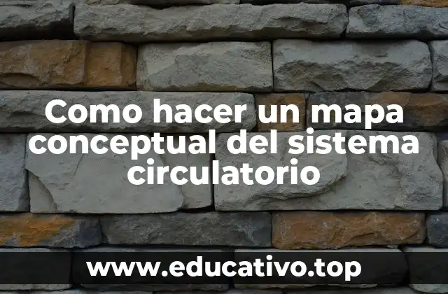 Como hacer un mapa conceptual del sistema circulatorio