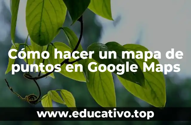 Cómo hacer un mapa de puntos en Google Maps