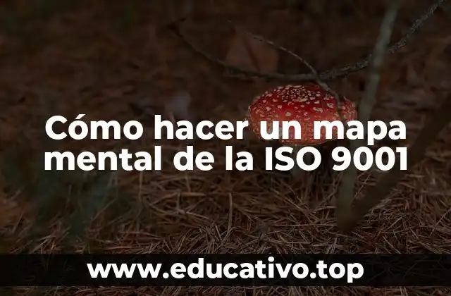 Cómo hacer un mapa mental de la ISO 9001