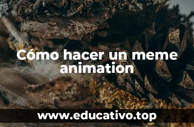 Cómo hacer un meme animation