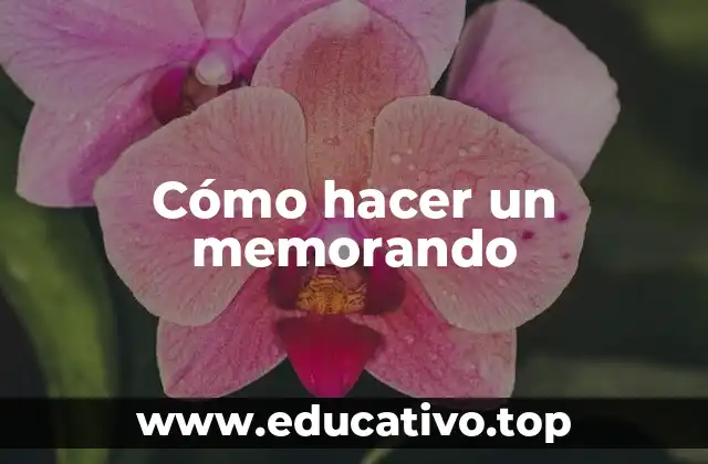 Cómo hacer un memorando