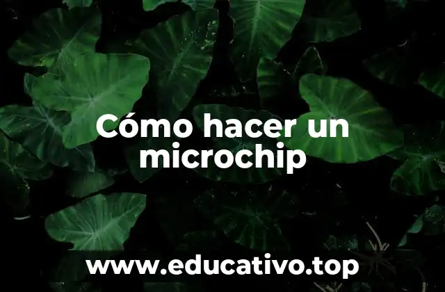 Cómo hacer un microchip