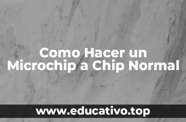 Como Hacer un Microchip a Chip Normal
