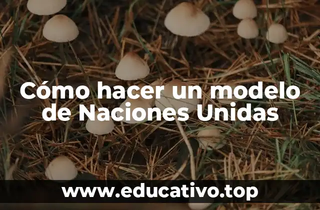 Cómo hacer un modelo de Naciones Unidas