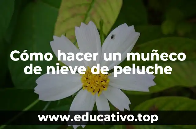 Cómo hacer un muñeco de nieve de peluche