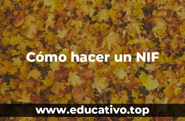 Cómo hacer un NIF