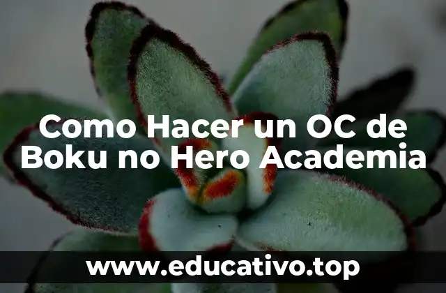 Como Hacer un OC de Boku no Hero Academia