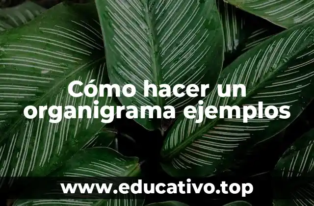 Cómo hacer un organigrama ejemplos