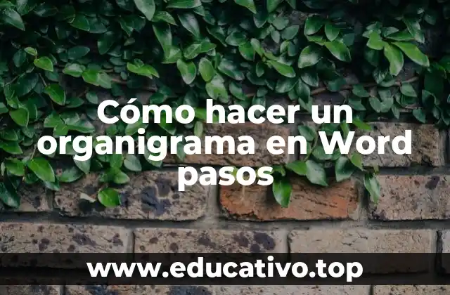 Cómo hacer un organigrama en Word pasos