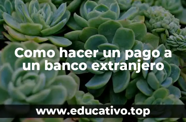 Como hacer un pago a un banco extranjero