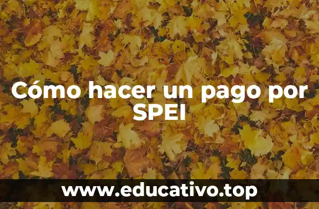 Cómo hacer un pago por SPEI