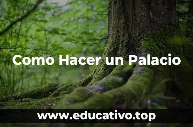 Como Hacer un Palacio