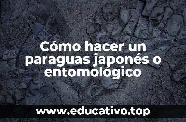 Cómo hacer un paraguas japonés o entomológico