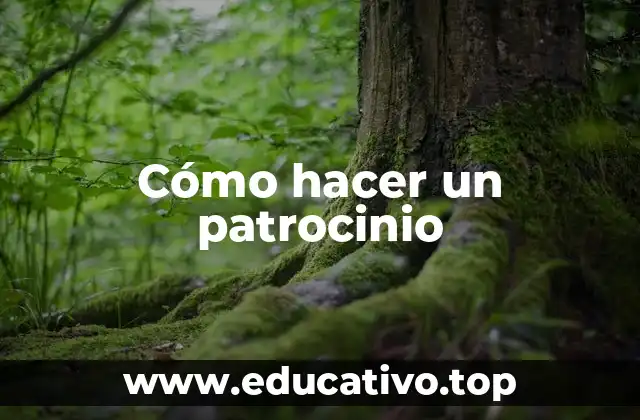 Cómo hacer un patrocinio