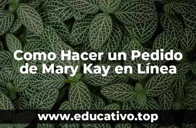 Como Hacer un Pedido de Mary Kay en Línea