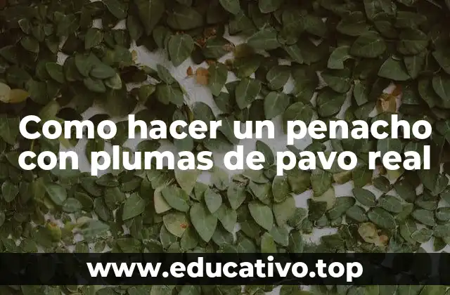 Como hacer un penacho con plumas de pavo real