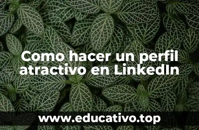 Como hacer un perfil atractivo en LinkedIn