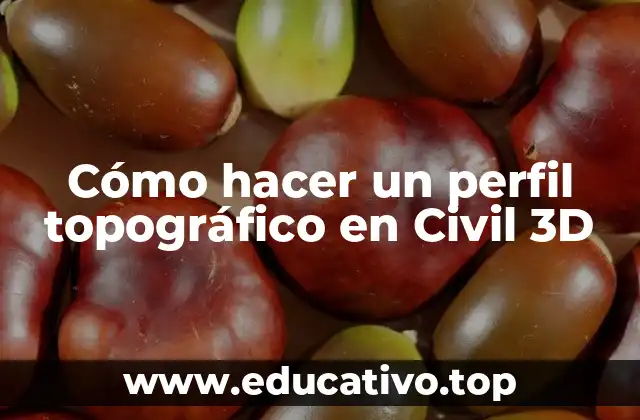 Cómo hacer un perfil topográfico en Civil 3D