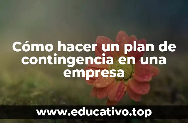 Cómo hacer un plan de contingencia en una empresa