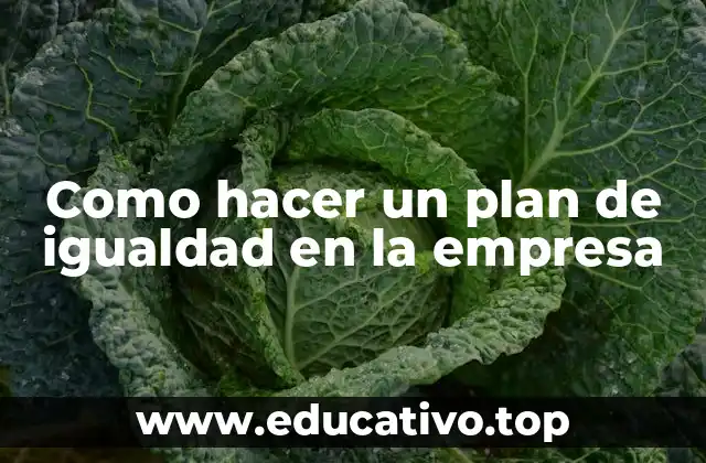 Como hacer un plan de igualdad en la empresa
