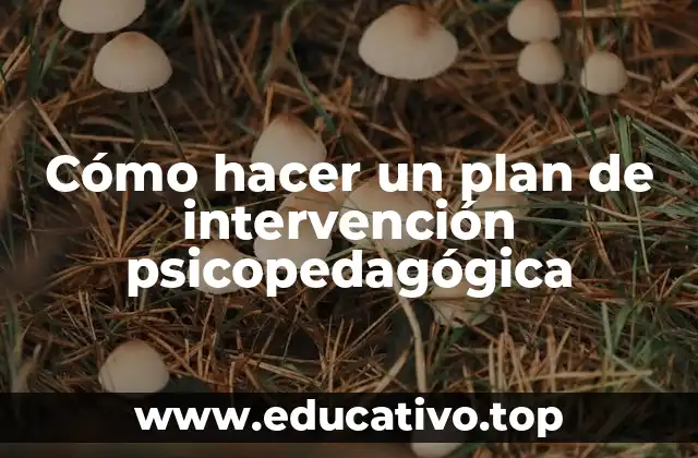 Cómo hacer un plan de intervención psicopedagógica