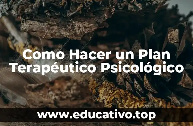Como Hacer un Plan Terapéutico Psicológico