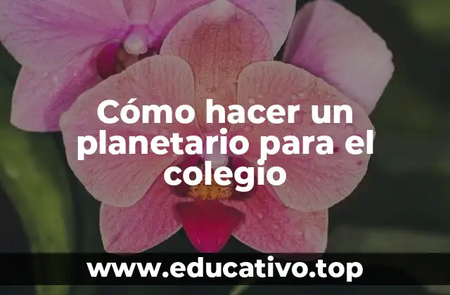 Cómo hacer un planetario para el colegio