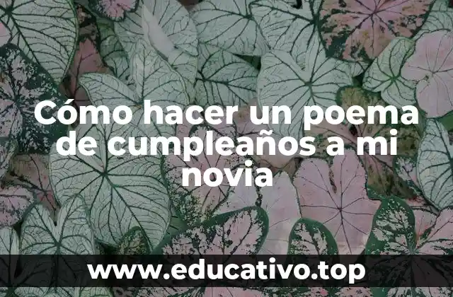 Cómo hacer un poema de cumpleaños a mi novia