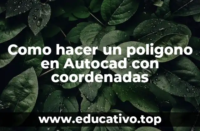 Como hacer un poligono en Autocad con coordenadas