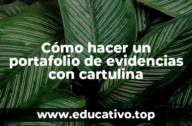 Cómo hacer un portafolio de evidencias con cartulina