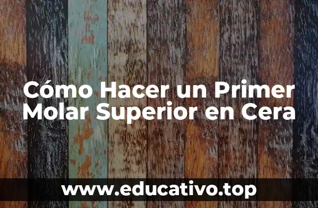 Cómo Hacer un Primer Molar Superior en Cera