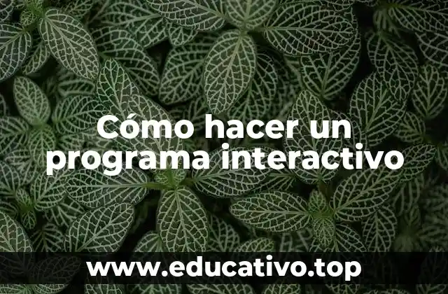 Cómo hacer un programa interactivo