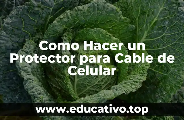 Como Hacer un Protector para Cable de Celular