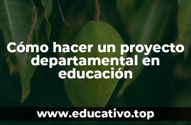 Cómo hacer un proyecto departamental en educación