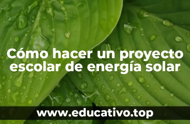 ¿Qué es un proyecto escolar de energía solar?