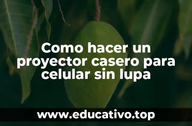 Como hacer un proyector casero para celular sin lupa