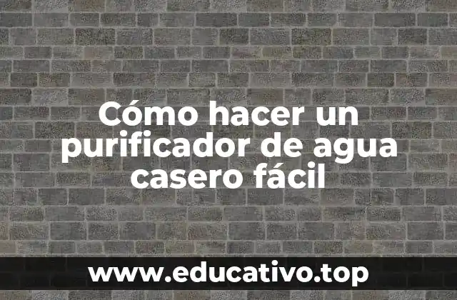 Cómo hacer un purificador de agua casero fácil
