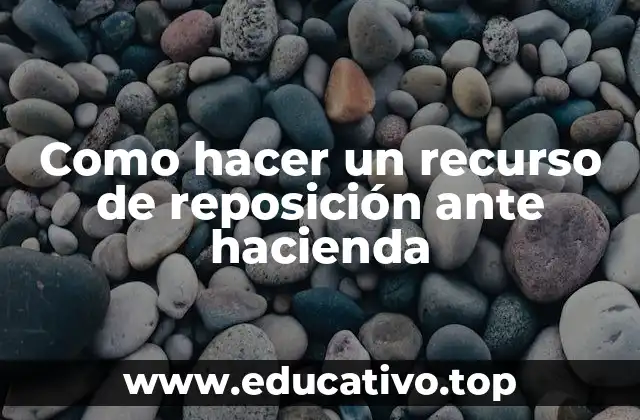 Como hacer un recurso de reposición ante hacienda