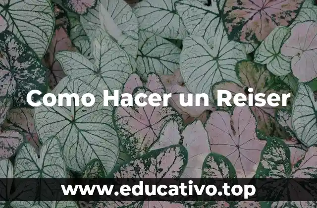 Como Hacer un Reiser