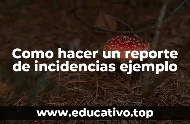 Como hacer un reporte de incidencias ejemplo