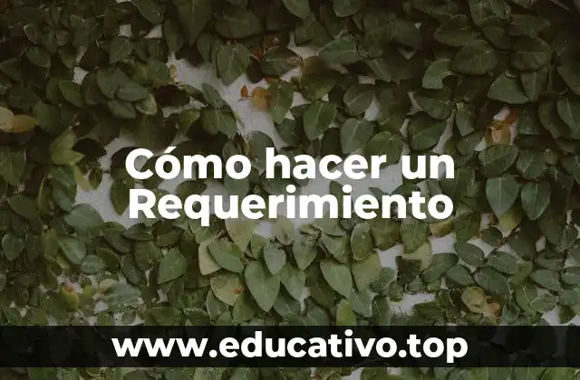 Cómo hacer un Requerimiento